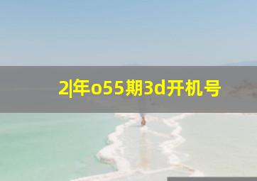 2|年o55期3d开机号